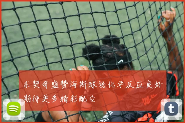 东契奇盛赞海斯球场化学反应良好期待更多精彩配合