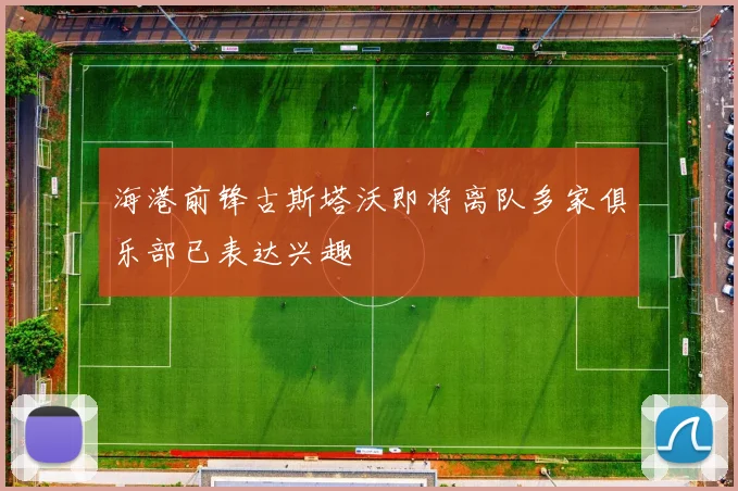 海港前锋古斯塔沃即将离队多家俱乐部已表达兴趣