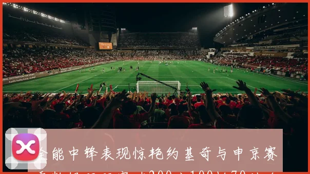 全能中锋表现惊艳约基奇与申京赛季数据双双突破200分100板70助攻